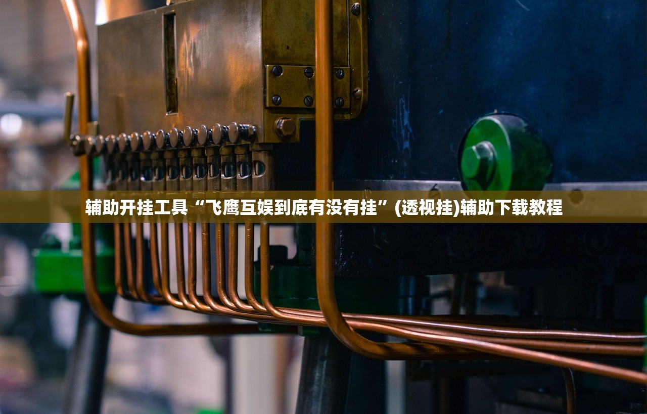 辅助开挂工具“飞鹰互娱到底有没有挂”(透视挂)辅助下载教程