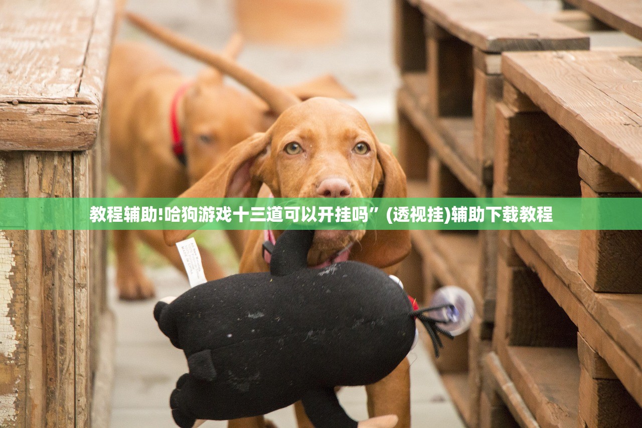 济南市最新疫情通报（济南市最新消息）