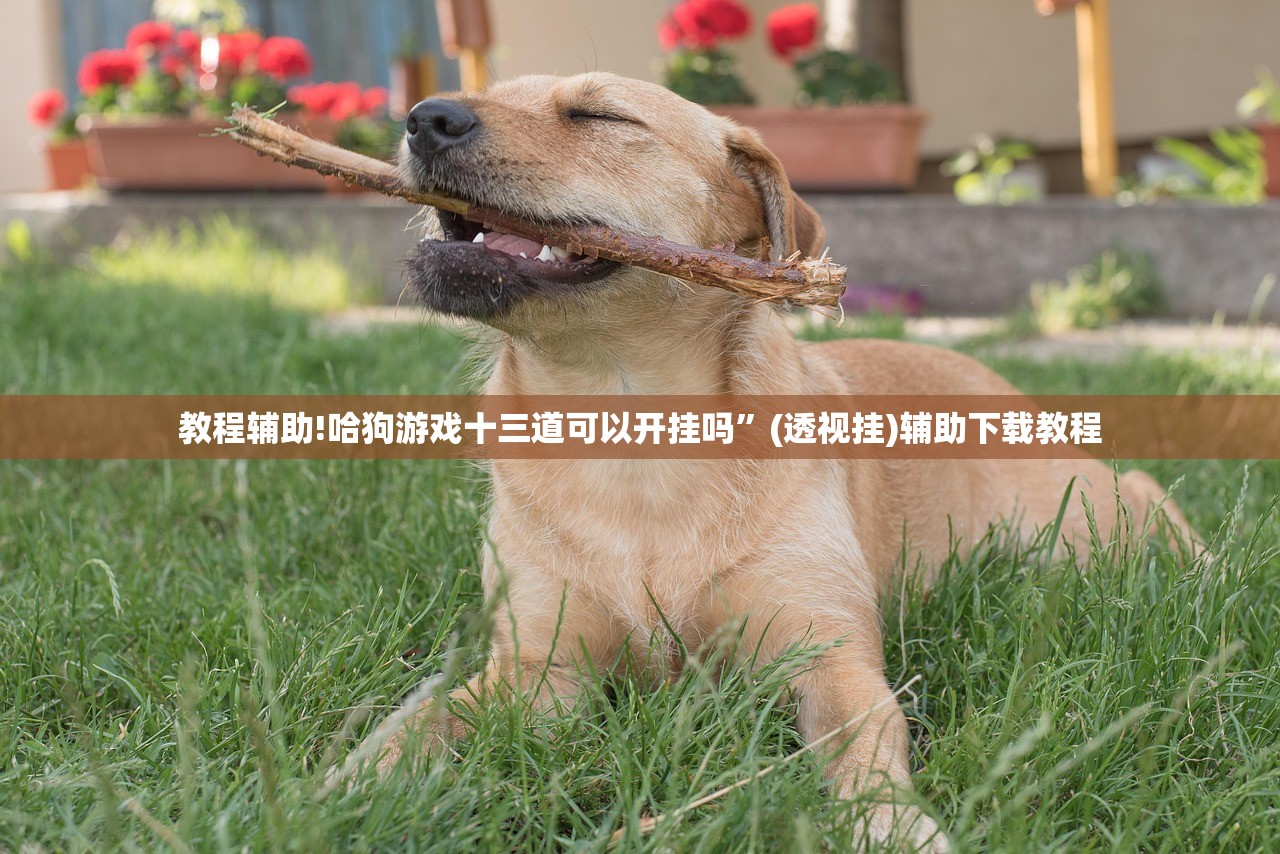 教程辅助!哈狗游戏十三道可以开挂吗	”(透视挂)辅助下载教程