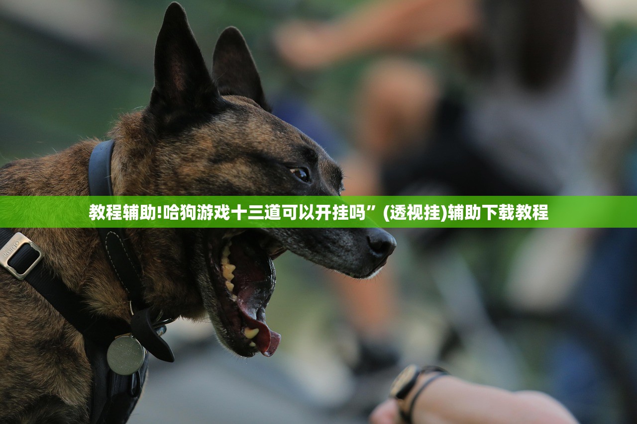 教程辅助!哈狗游戏十三道可以开挂吗”(透视挂)辅助下载教程