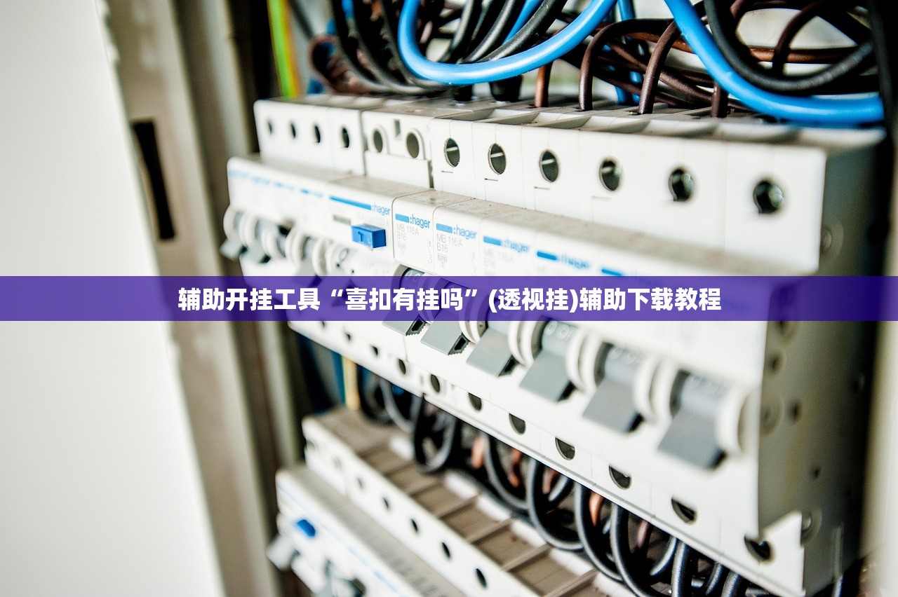 辅助开挂工具“喜扣有挂吗”(透视挂)辅助下载教程
