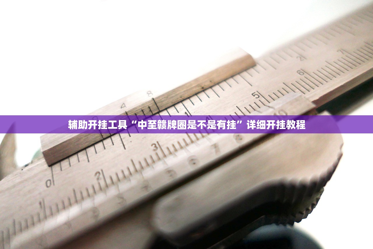 辅助神器“同城游开挂辅助器通用版”开挂辅助脚本+详细开挂安装教程