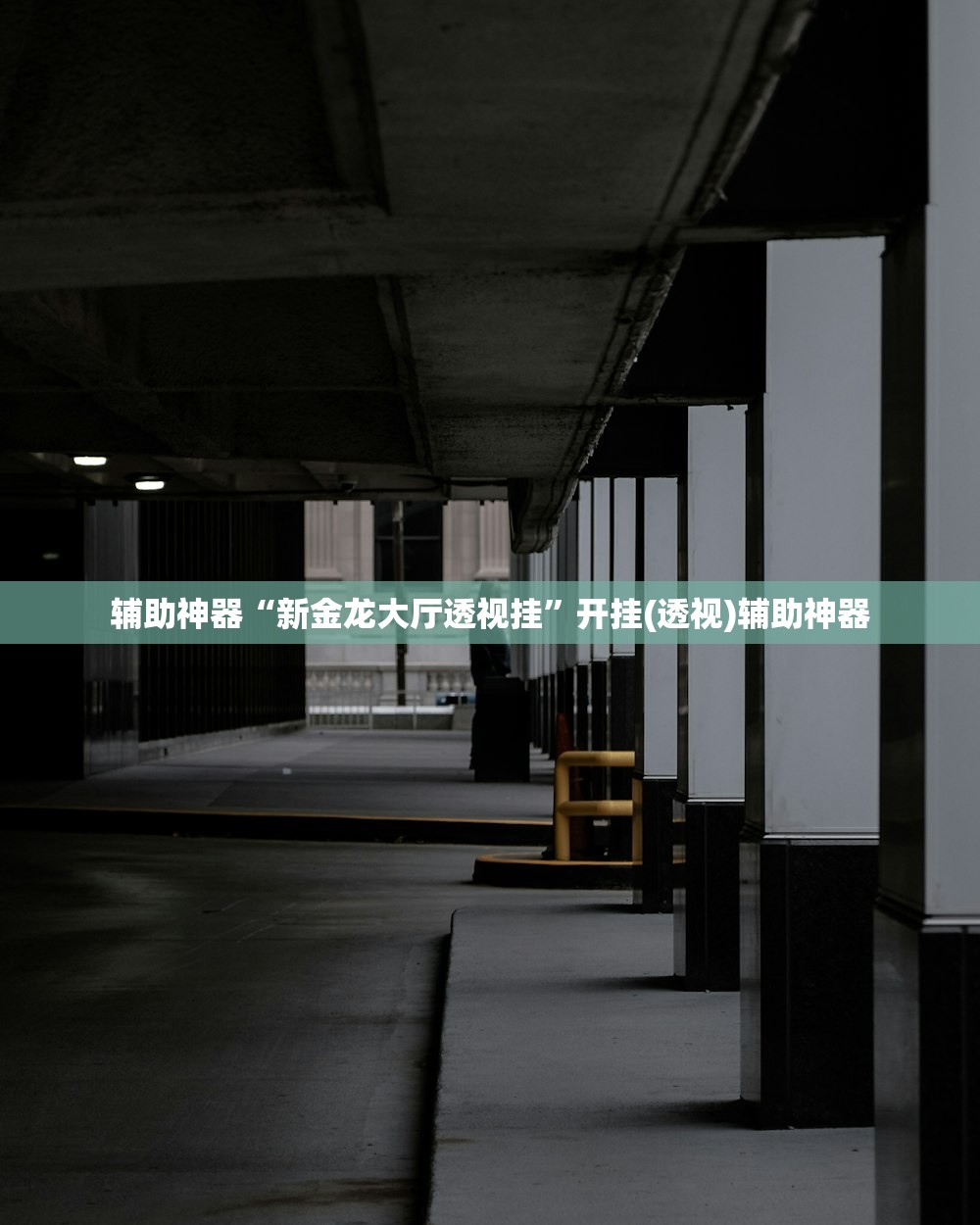 辅助神器“新金龙大厅透视挂”开挂(透视)辅助神器
