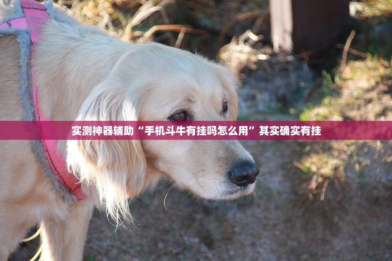 2026首发科技“牛魔王大厅开挂辅助器通用版”2026开挂教程步骤