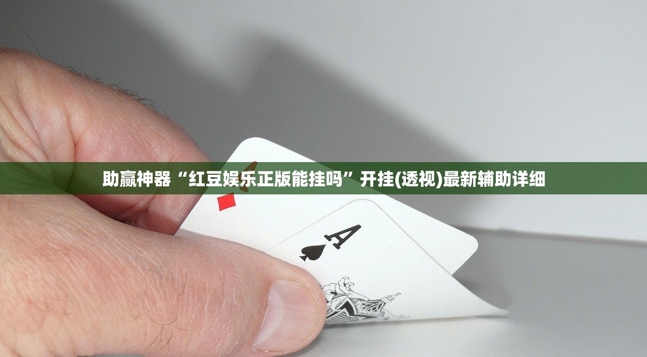 助赢神器“红豆娱乐正版能挂吗”开挂(透视)最新辅助详细