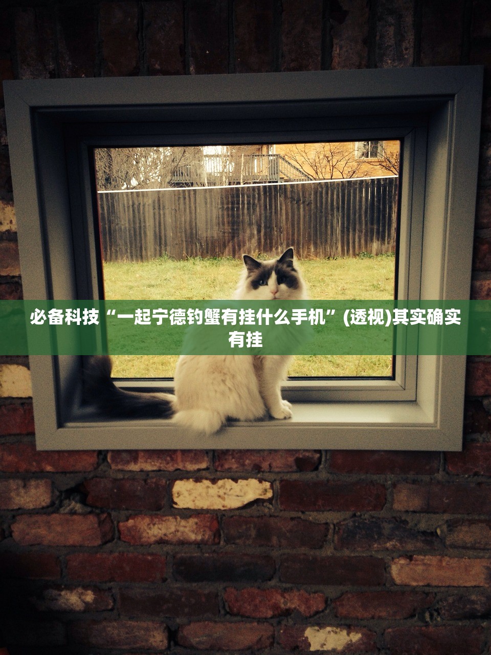 必备科技“微乐麻将开挂神器”详细分享装挂步骤