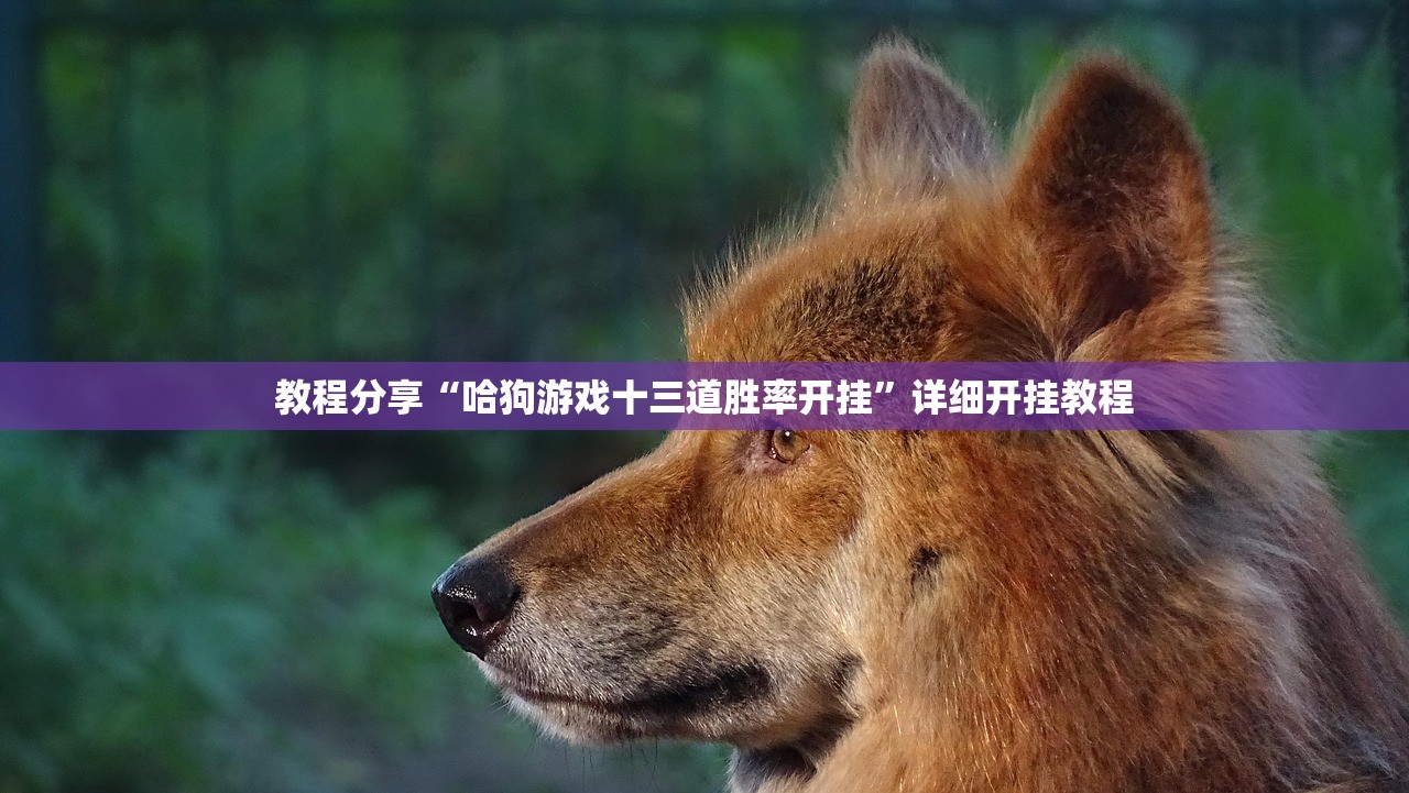 分享实测辅助“天天贵阳麻将破解器(透视)”开挂辅助脚本+详细开挂安装教程
