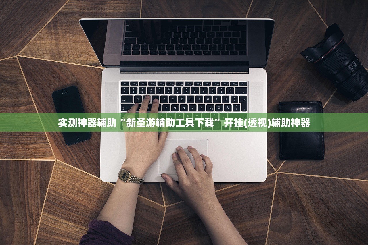 实测神器辅助“新圣游辅助工具下载”开挂(透视)辅助神器