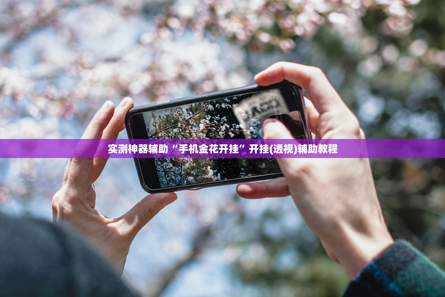 实测神器辅助“手机金花开挂	”开挂(透视)辅助教程
