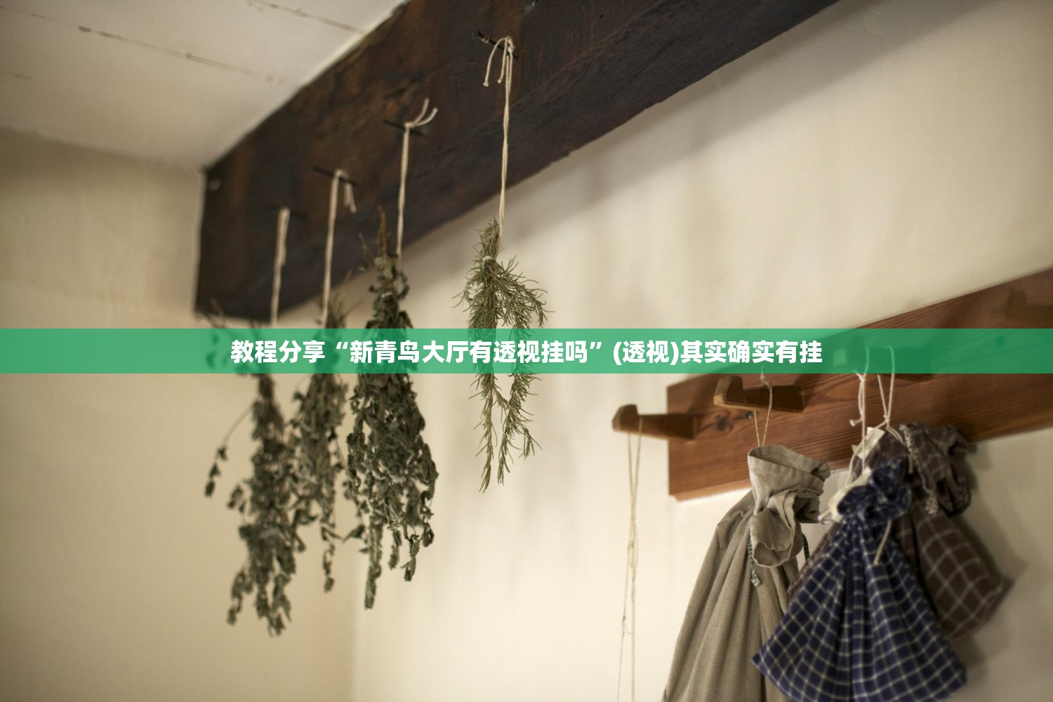 【冬奥会持续多长时间/冬奥会持续多长时间举办一次】