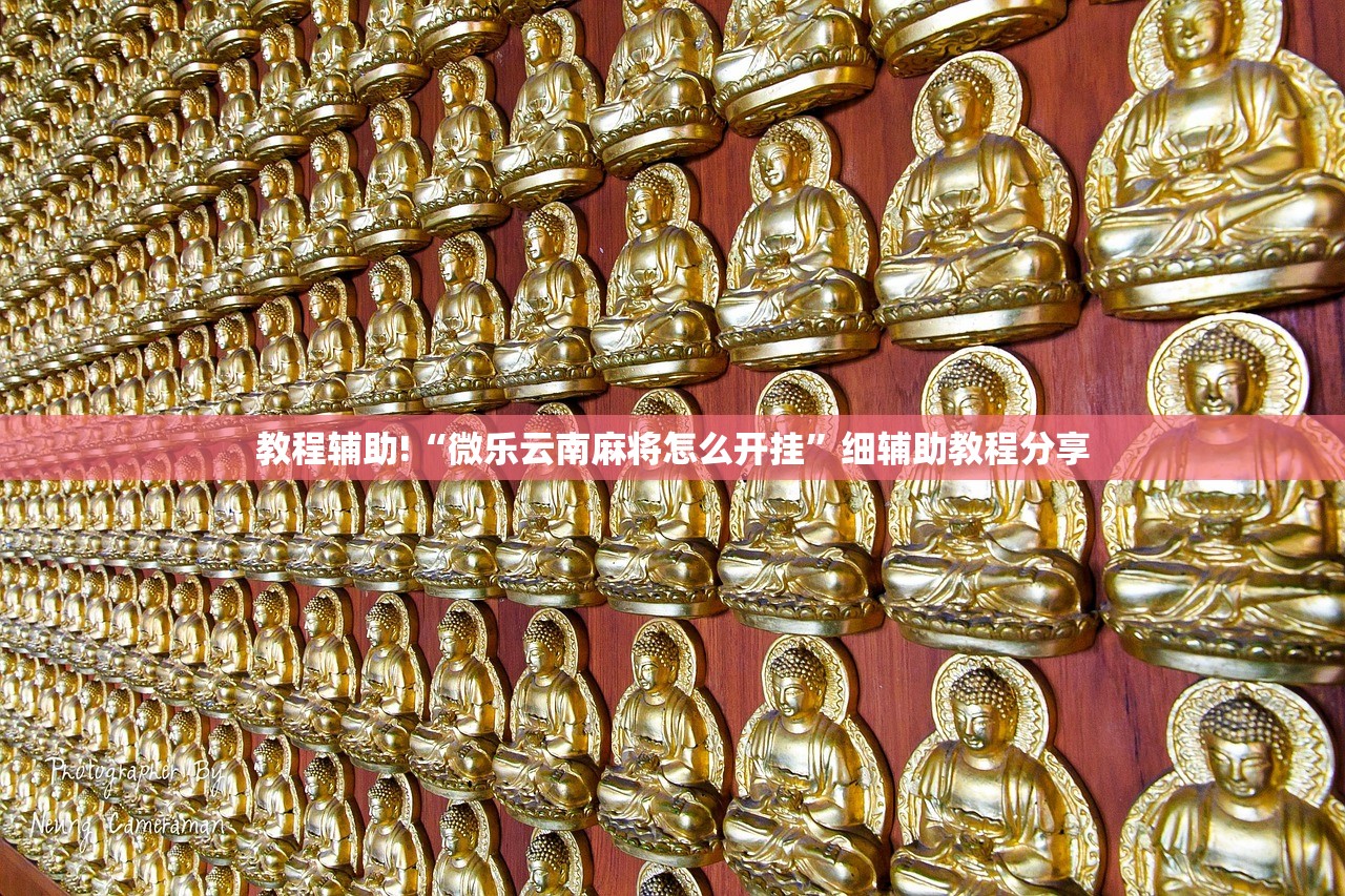 教程辅助!“微乐云南麻将怎么开挂	”细辅助教程分享
