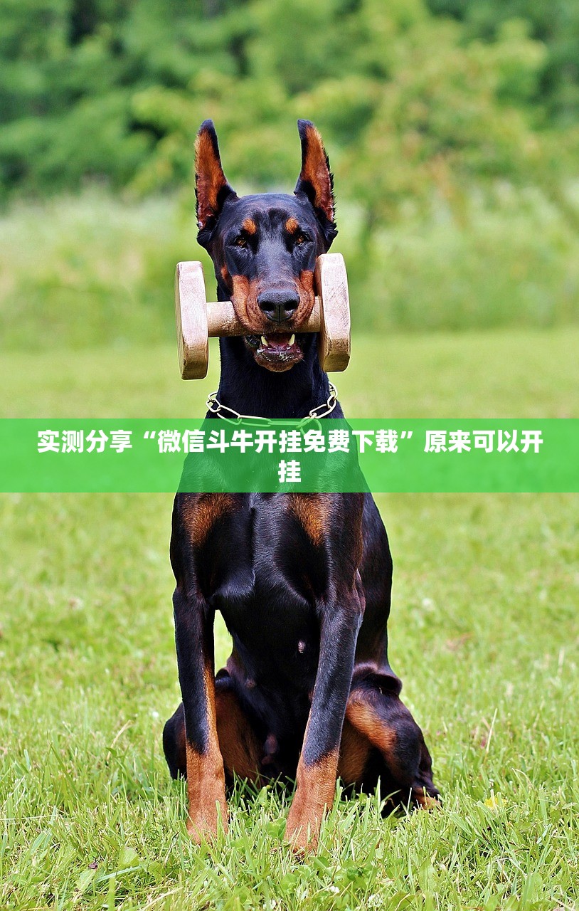 【新冠调整为乙类了吗,新冠肺炎为乙类】