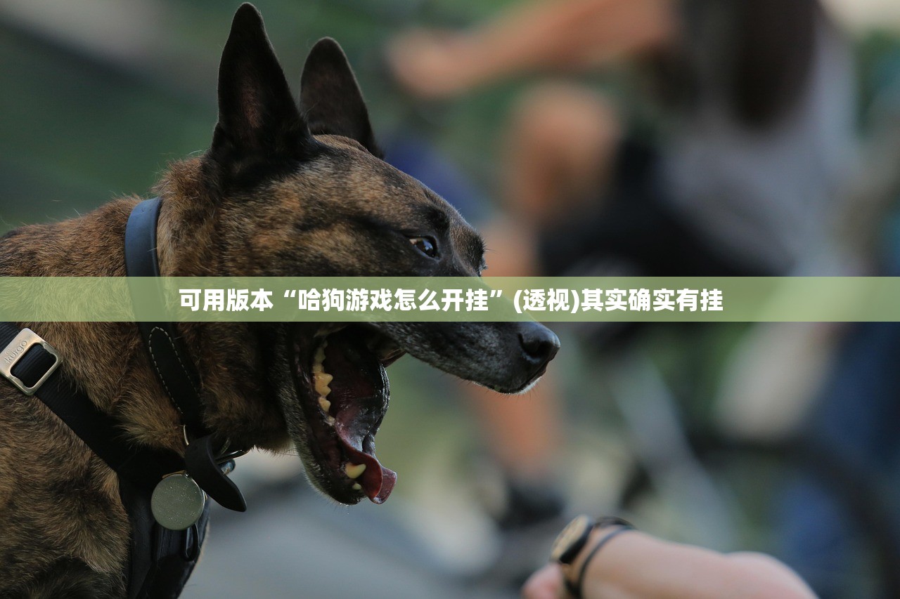 可用版本“哈狗游戏怎么开挂	”(透视)其实确实有挂