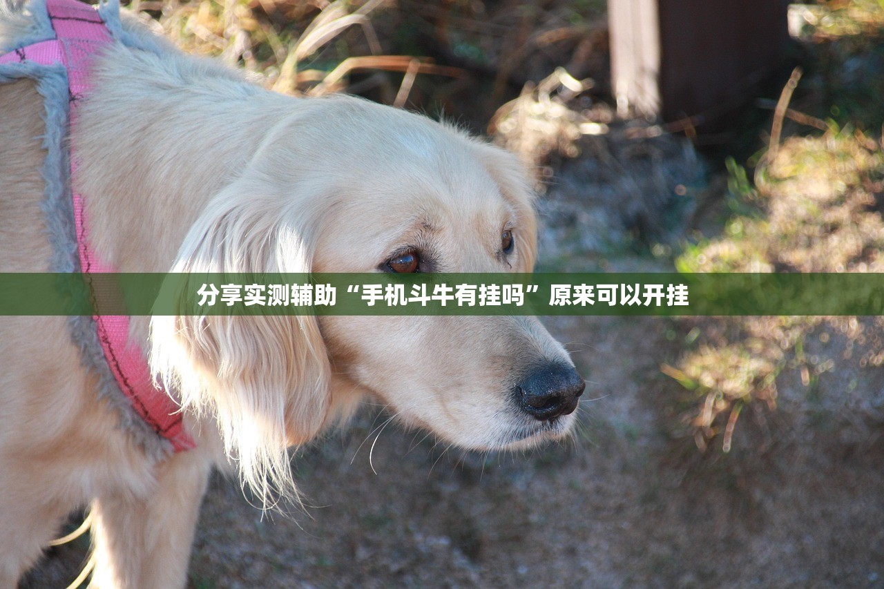 乌鲁木齐疫情封城/乌鲁木齐疫情封城原因