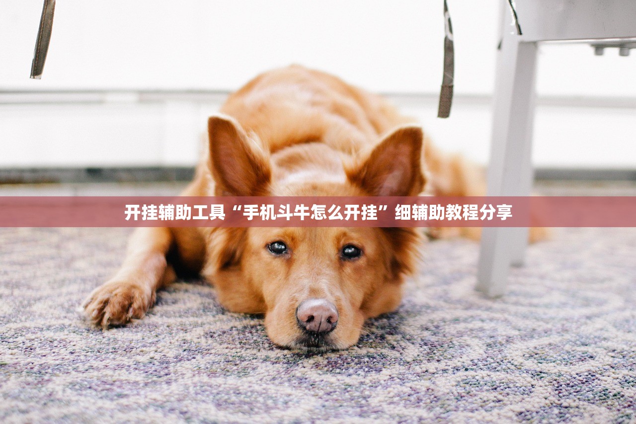 开挂辅助工具“手机斗牛怎么开挂”细辅助教程分享