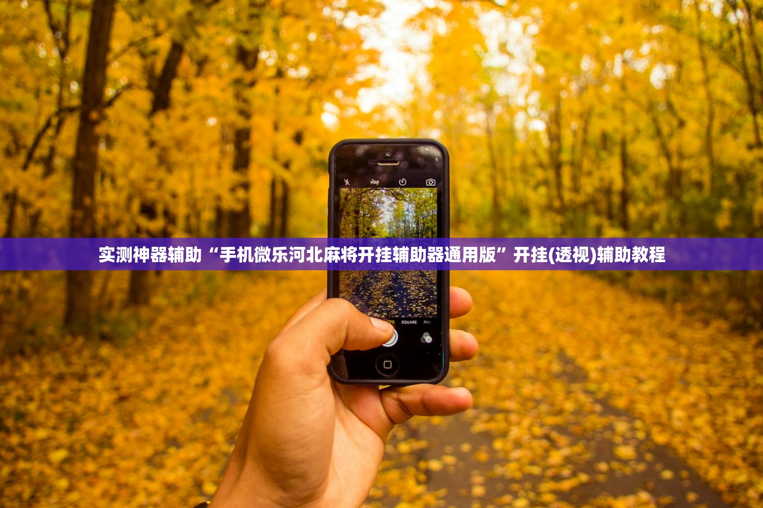 实测神器辅助“手机微乐河北麻将开挂辅助器通用版”开挂(透视)辅助教程