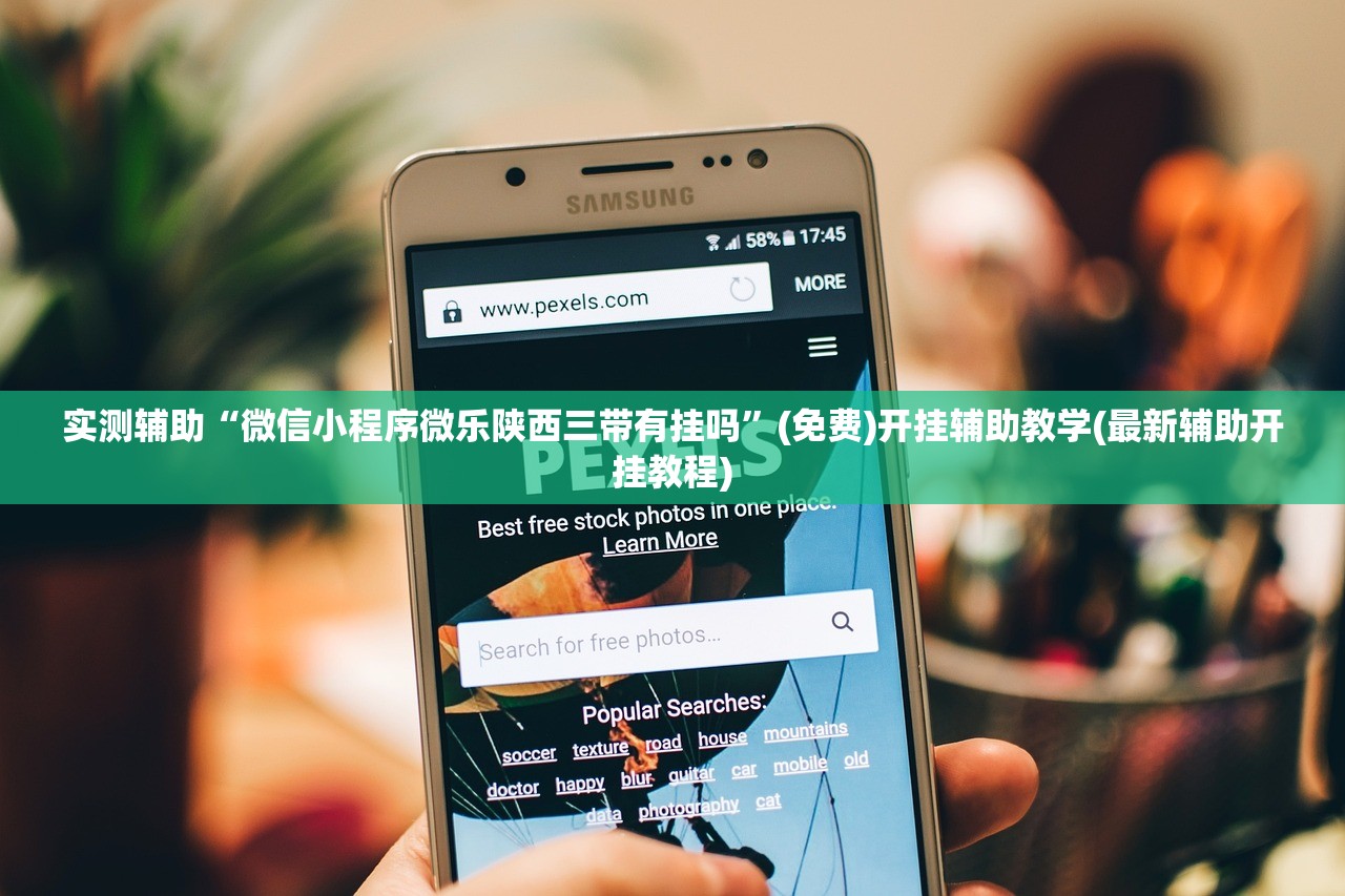 实测辅助“微信小程序微乐陕西三带有挂吗”(免费)开挂辅助教学(最新辅助开挂教程)