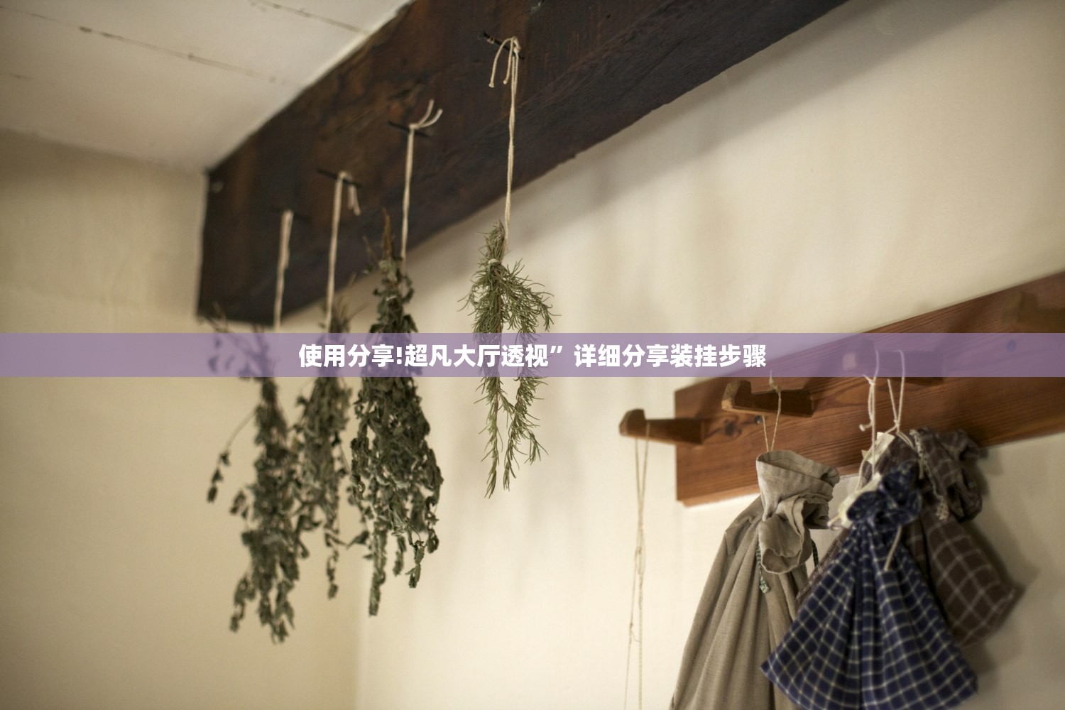 使用分享!超凡大厅透视”详细分享装挂步骤