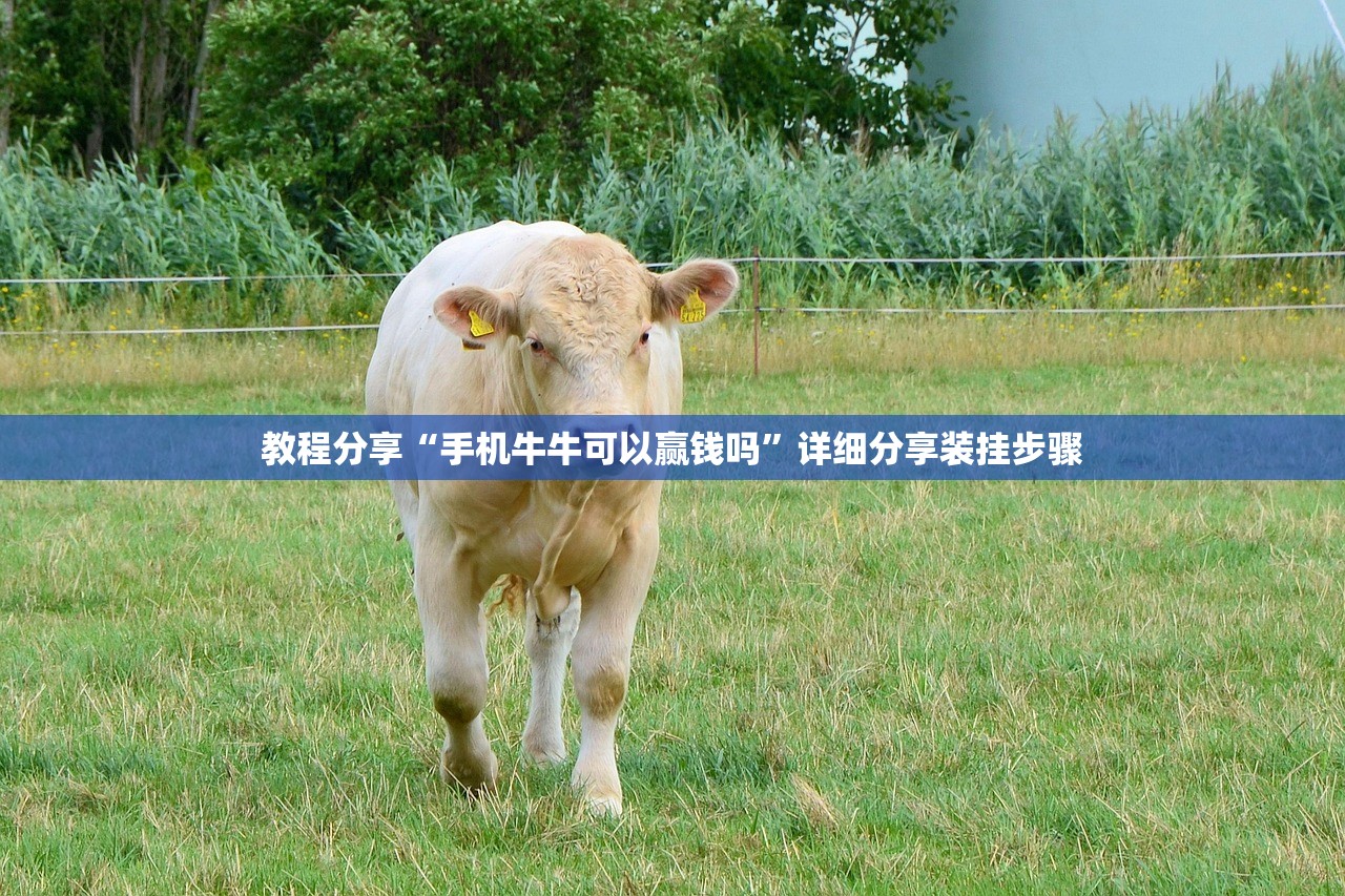 教程分享“手机牛牛可以赢钱吗	”详细分享装挂步骤