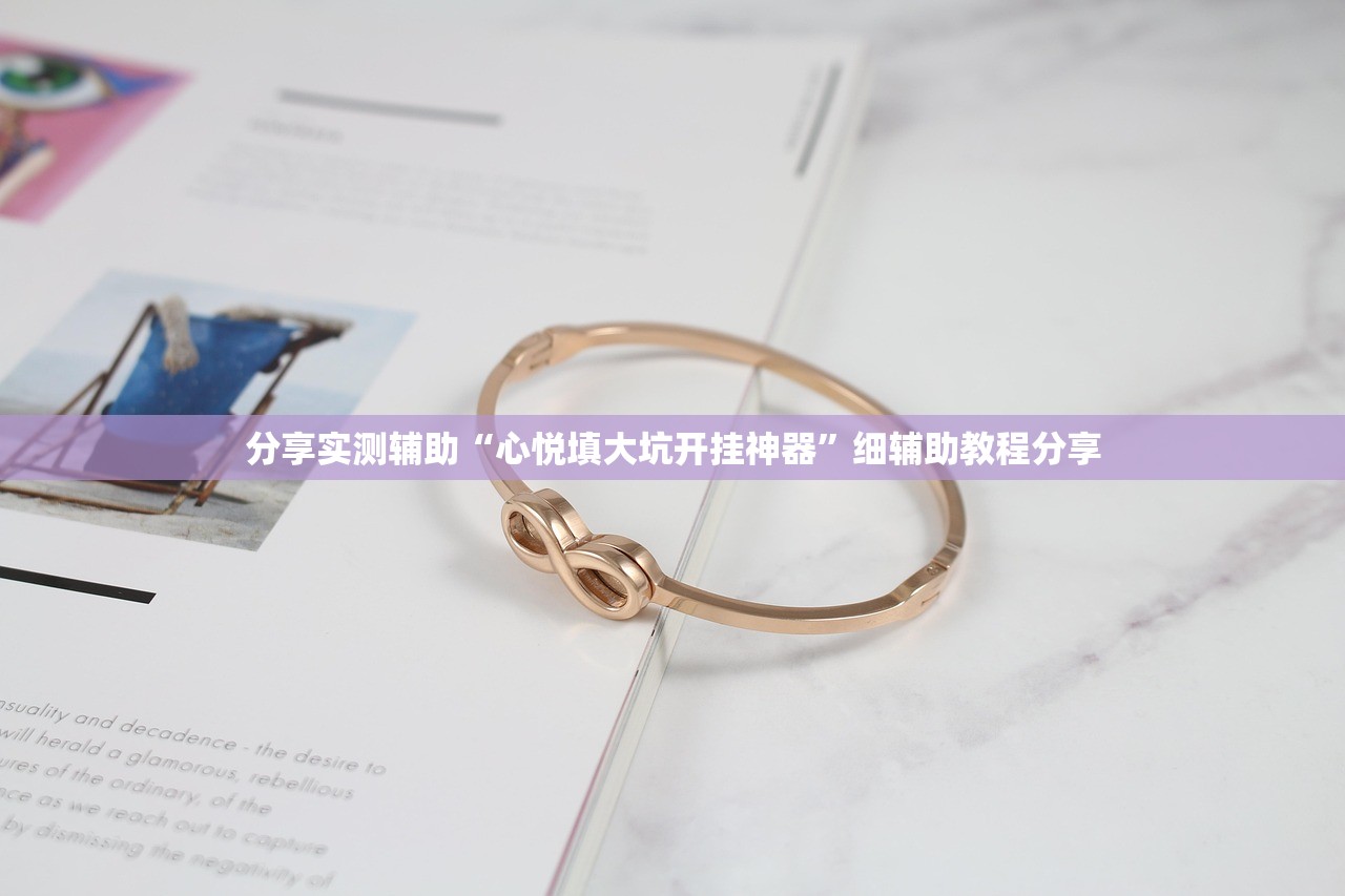 分享实测辅助“心悦填大坑开挂神器”细辅助教程分享