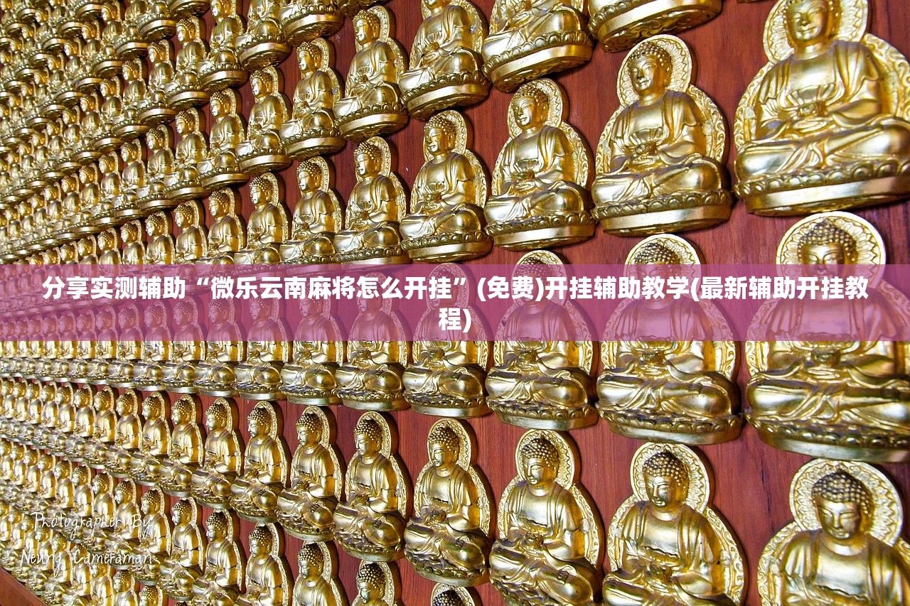 新高苑一期:新高苑一期是什么苑
