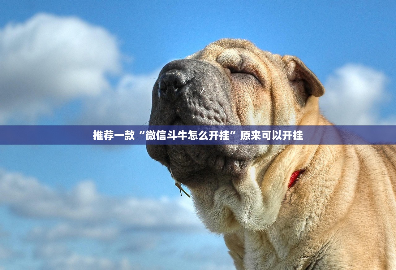 郑州疫情什么时候解封/郑州疫情什么时候解封恢复正常