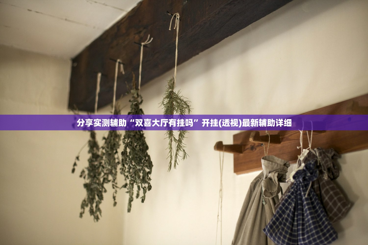 助赢神器“微乐浙江麻将万能开挂器”2026开挂教程步骤