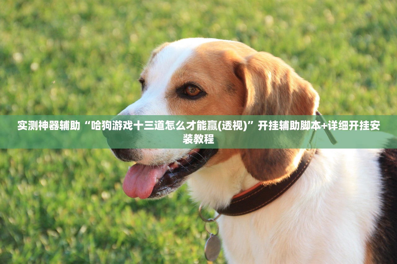 实测神器辅助“哈狗游戏十三道怎么才能赢(透视)”开挂辅助脚本+详细开挂安装教程