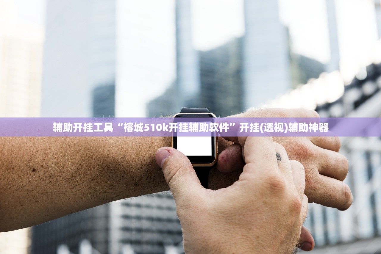 辅助开挂工具“榕城510k开挂辅助软件”开挂(透视)辅助神器