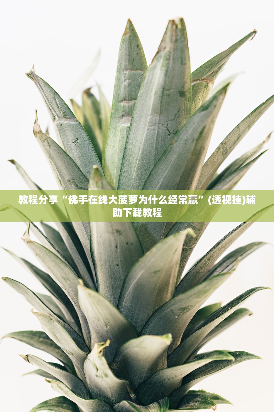 教程分享“佛手在线大菠萝为什么经常赢”(透视挂)辅助下载教程