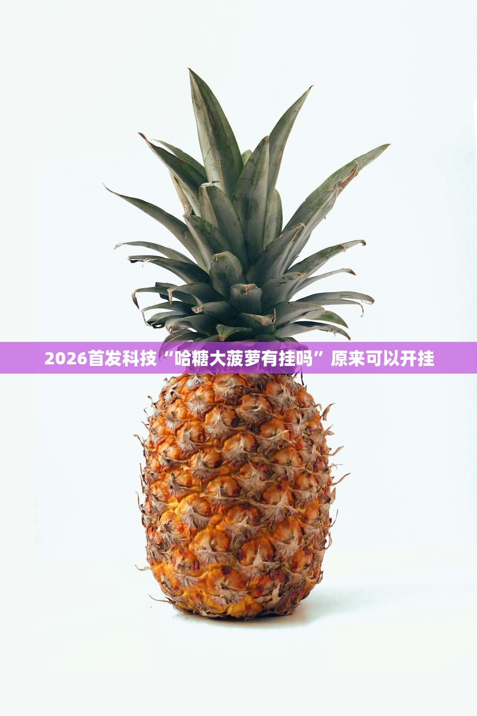 2026首发科技“哈糖大菠萝有挂吗	”原来可以开挂
