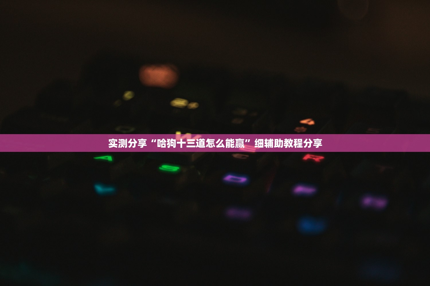 实测分享“哈狗十三道怎么能赢”细辅助教程分享