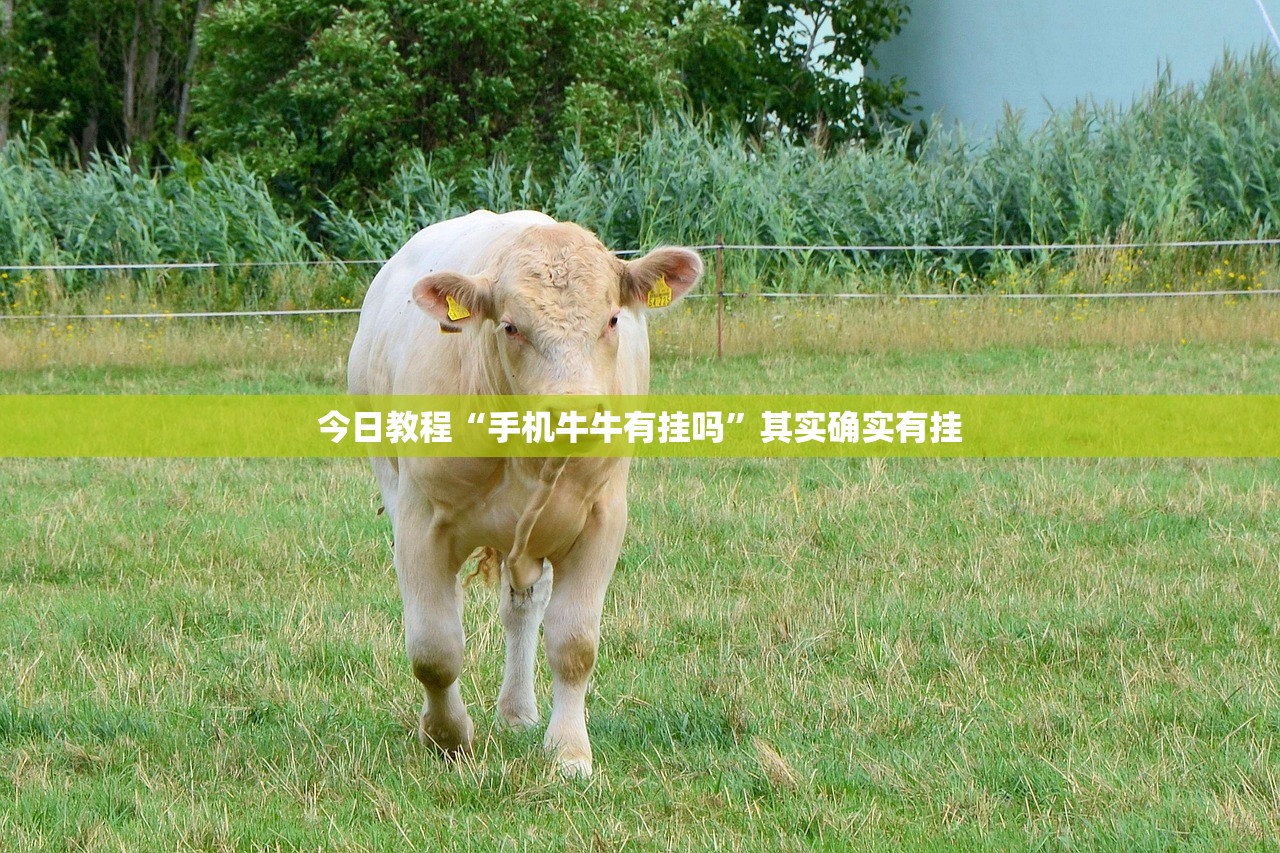 实测神器辅助“九九山城麻将有挂吗”原来可以开挂