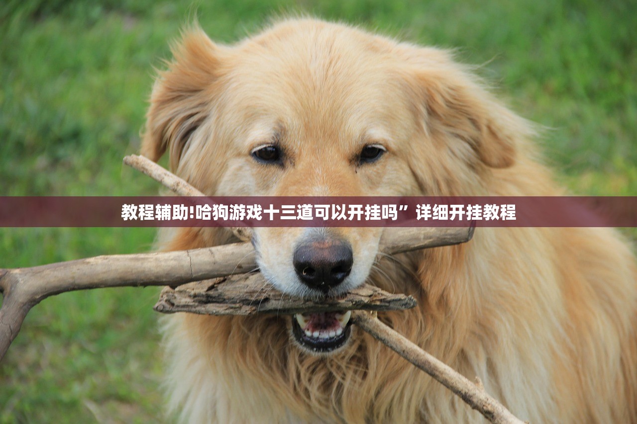 教程辅助!哈狗游戏十三道可以开挂吗”详细开挂教程