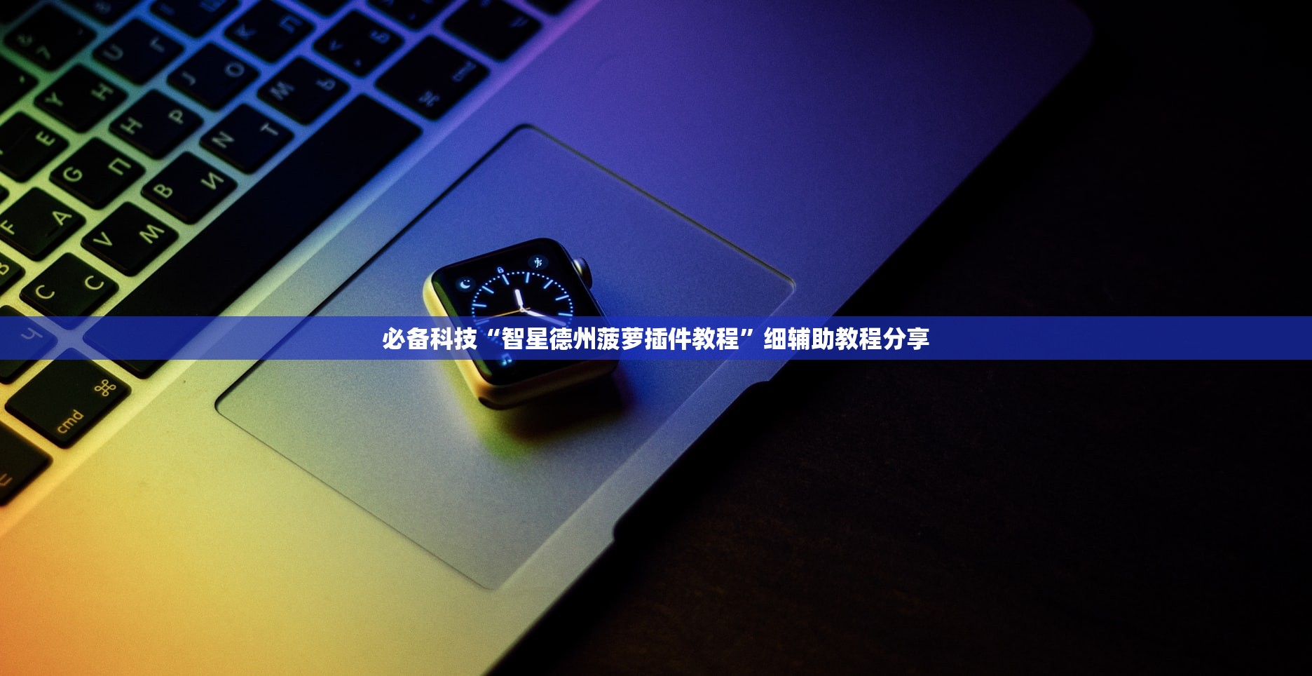 全国各城市感染高峰期/各城市感染人数
