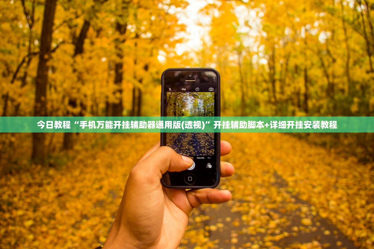 今日教程“手机万能开挂辅助器通用版(透视)”开挂辅助脚本+详细开挂安装教程