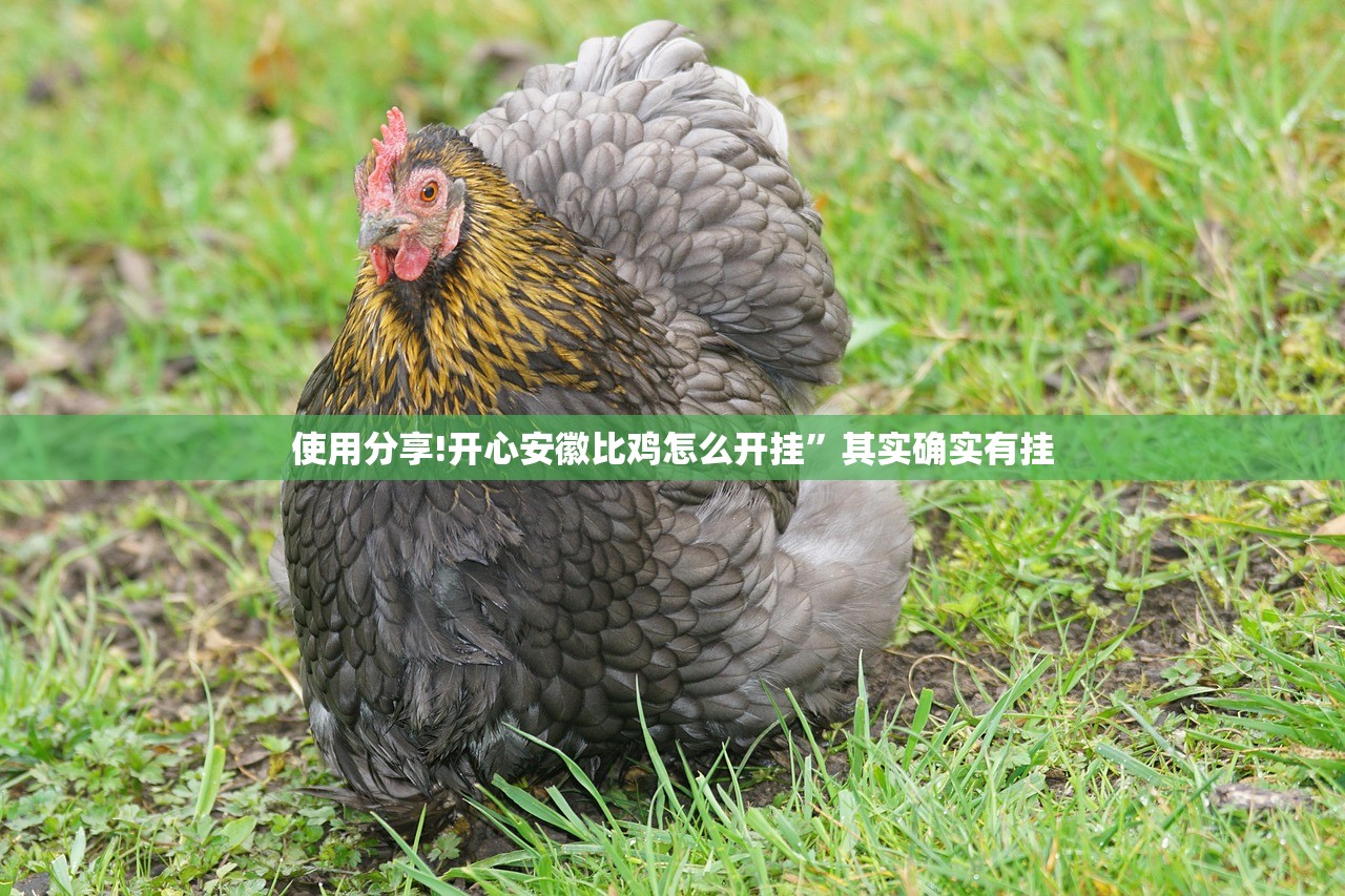 使用分享!开心安徽比鸡怎么开挂”其实确实有挂